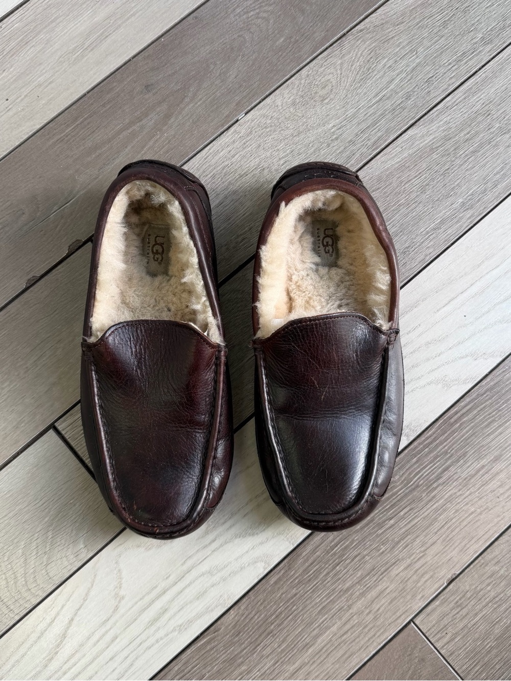 UGG Ascot Leather Slippers - Men’s